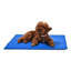Pet Cooling Mat-1173411144