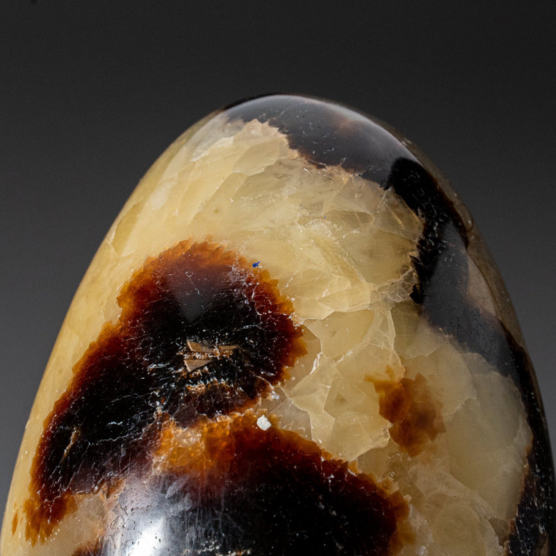Genuine Polished Septarian (3") Egg from Madagascar