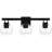 Allionna 3-Light Bath Light-1111064061