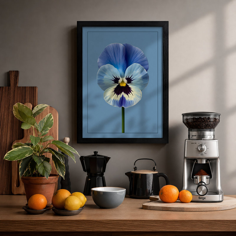 Purple Pansy Study Botanical - Framed Print, A2 - 59.4 x 42.0 cm, Black