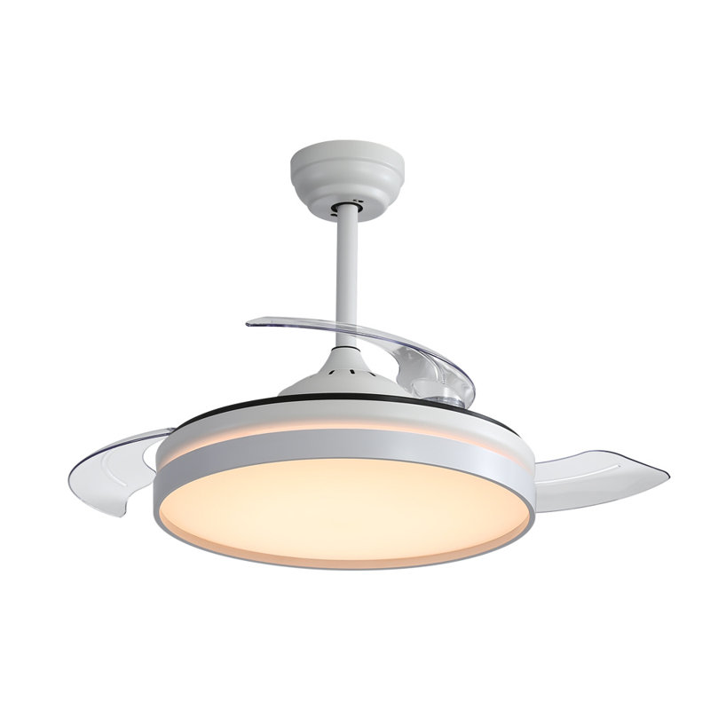 Caidynce Ceiling Fan with LED Lights, White