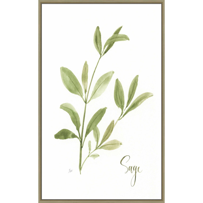 " Herb Sage " by Nan Painting Print, 27.5" W x 43.5" H, Brown Framed