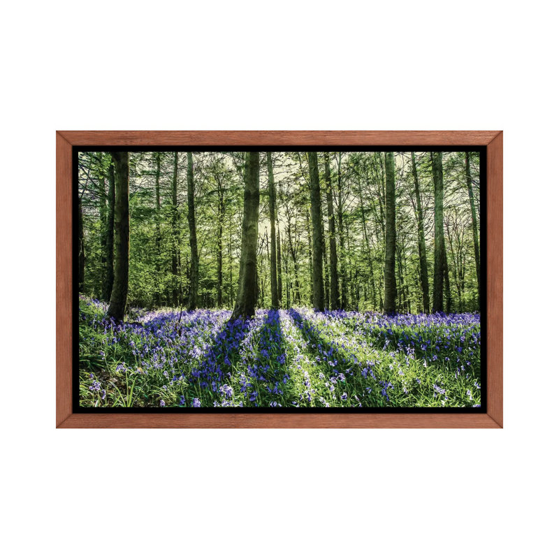 «Bluebell Wood», reproduction, H 26 po x l 40 po x 1,5 po, Toile avec cadre en bois classique