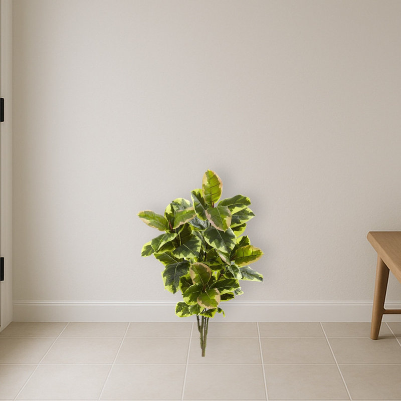 Rubber Leaf Artificial Plant (Real Touch)