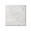«Nautical Sand Dollars», art giclée par LSR Design Studio-2005060296
