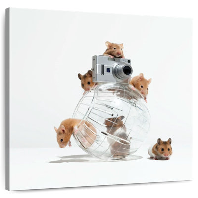 Arney Picture Perfect Hamsters