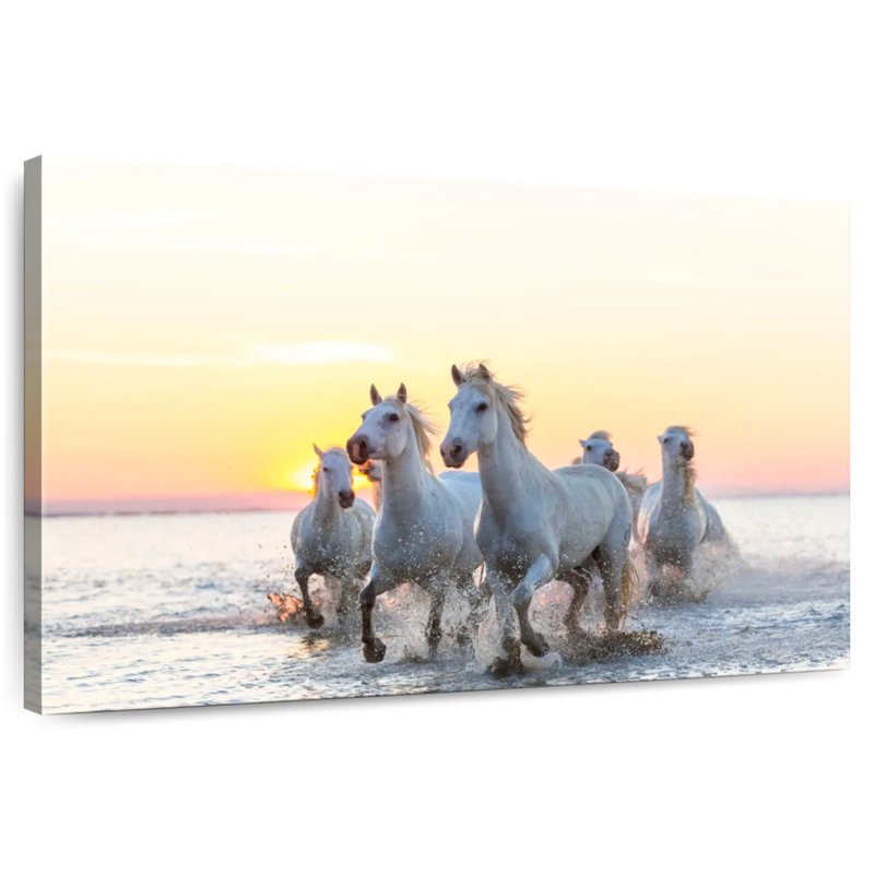 Chevaux de camargue Brampt au coucher du soleil, H 32 po x l 48 po