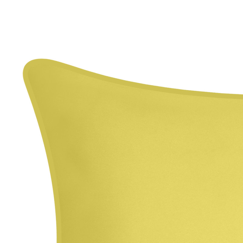 Indoor & Outdoor Dragonflies Collection Outdoor Rectangular Pillow Cover & Insert, Citron/White
