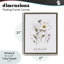 Cadre flottant Pressed Flowers Renew, design par Lettré et doublé-240566975-240566970
