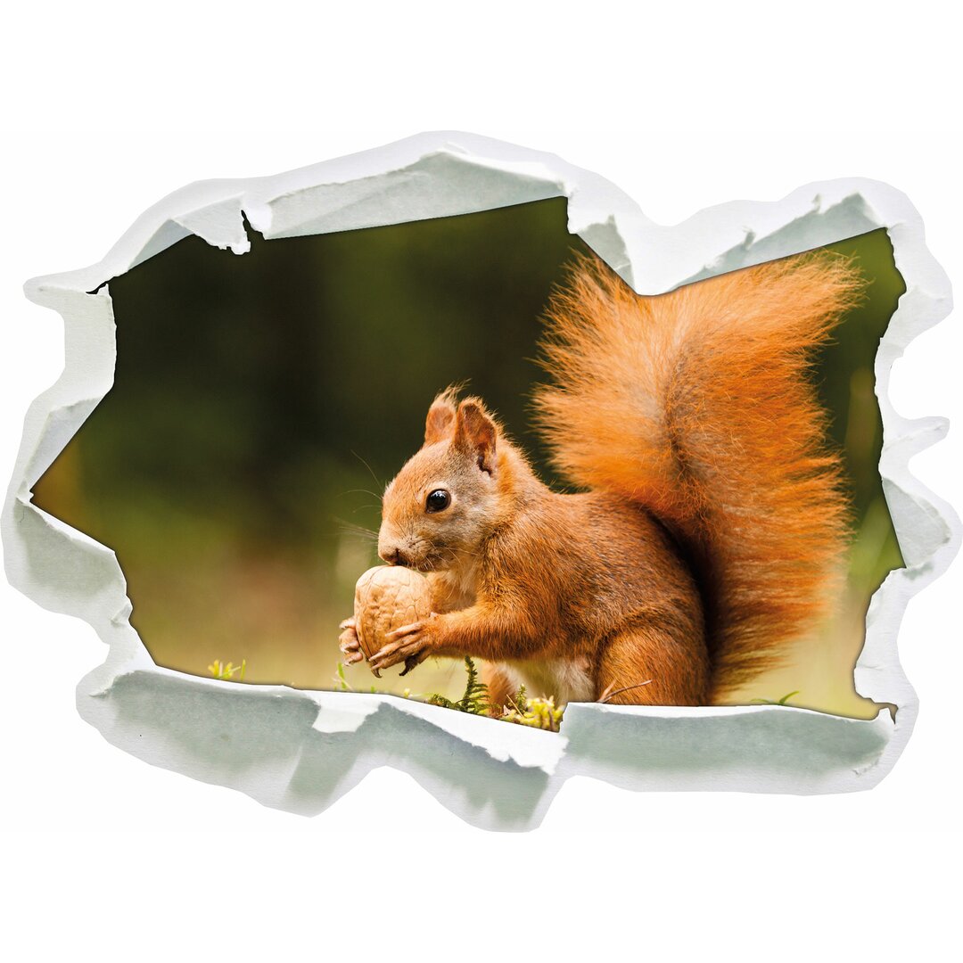 Wandaufkleber Squirrel with Nut