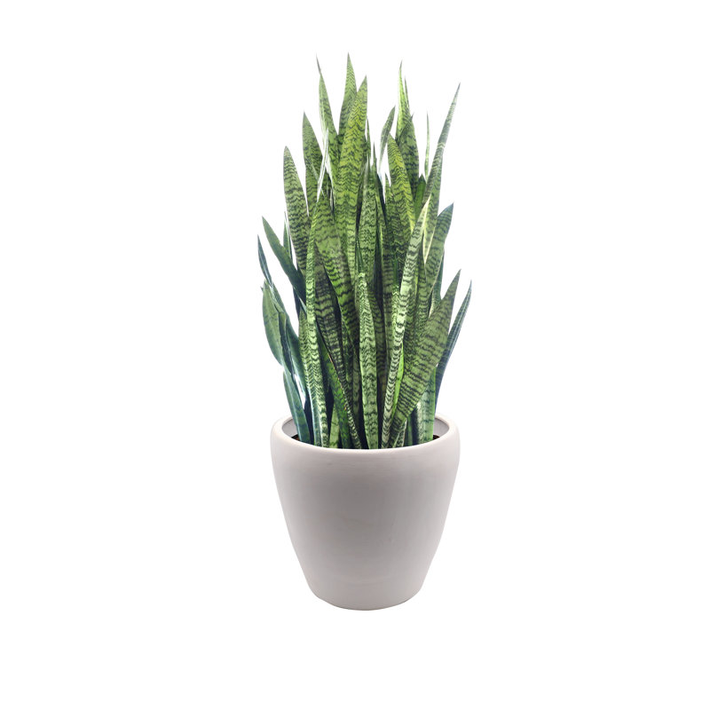 Talavera Ceramic Pot Planter