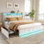Carlyann Modern Fabric Bed Frame With LED Headboard Storage, USB & Type-C Ports, And Under-Bed Drawers-1629624115-1629624116