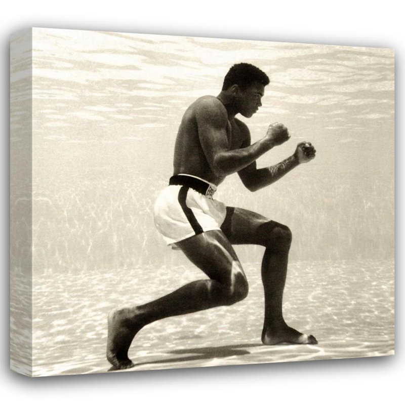 Muhammad Ali, H 15 po x l 16 po