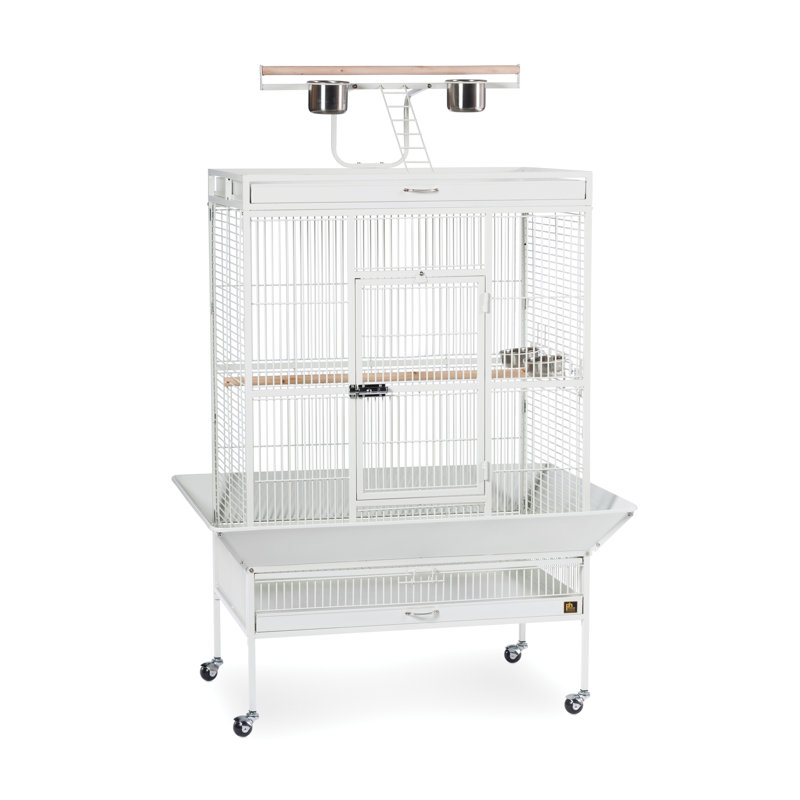 Cage à oiseau avec roues, support, perchoir, plateau Lucile, Petit (H 57 po x l 18 po x P 18 po), Blanc craie