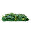 Plastic Wall Decor