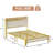 Alicia Upholstered Platform Bed-276131690-276131694