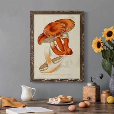 " Mushroom Varieties VII " Color Photography Print