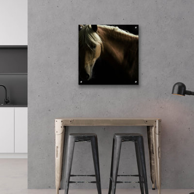 «Spirit Horse» par Tony Stromberg