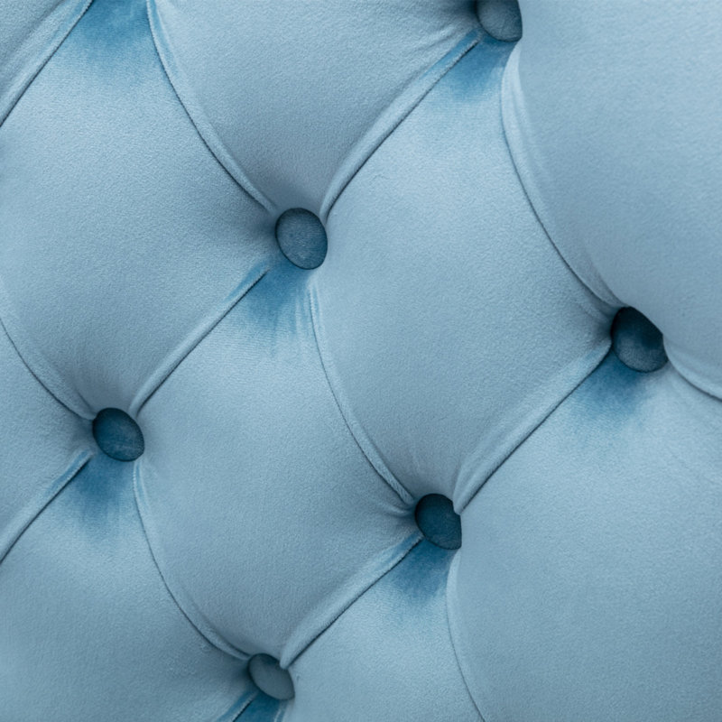 Chaises capitonnées Allena , Velours bleu, 2, Natural Wood