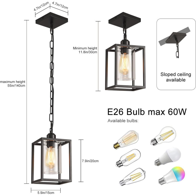 Farmhouse Rustic Glass Pendant Light Adjustable Chain Black Metal Cage Hanging Light
