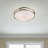 Dane Glass Flush Mount