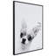 Chico Chihuahua - Cadre photo, impression sur verre