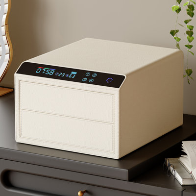 Smart Jewelry Safe With Biometric Fingerprint Recognition Lock