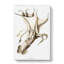 Cockeyed Squid by Carl Chun - Wrapped Canvas Painting-55371750