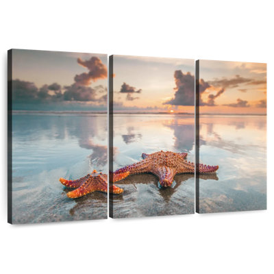 Aletra Double Six Beach Starfish