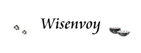wisenvoy Logo