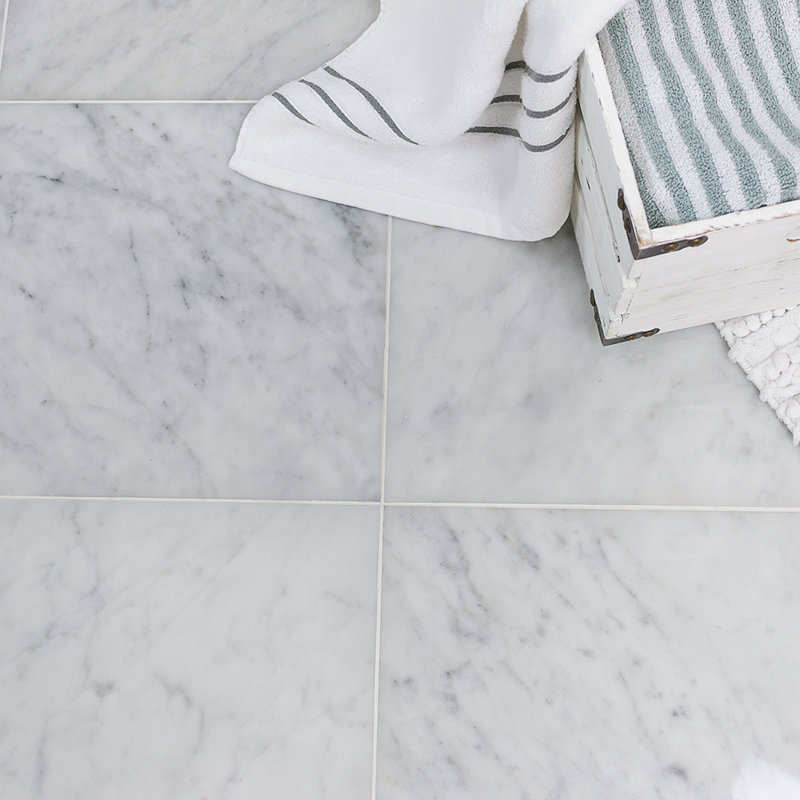 Carrara 12" x 12" Marble Marble Look Wall & Floor Tile