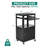 41'' H x 24'' W 1 AV Cart with Wheels