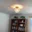 Customer photo 2 of 2