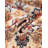Rugs.com Arina Boutique Rug-103970343