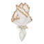 Shell Edge Napkin