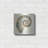 " Shell I " by Studio Mousseau