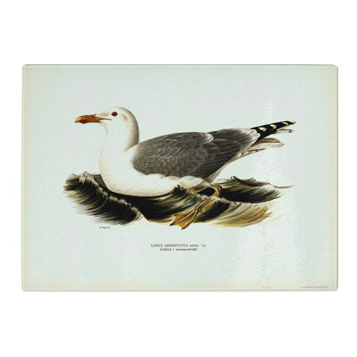 Tempered Glass Herring Gull by Von Wright Chopping Board