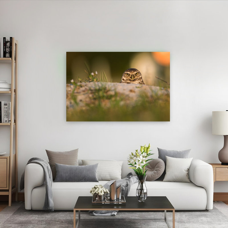 Intense Burrowing Owl Gaze Contemporary Bird Owl Forest Wall Art Print 1 Piece Wrapped Canvas Wall Art, 101.6cm H x 152.4cm W