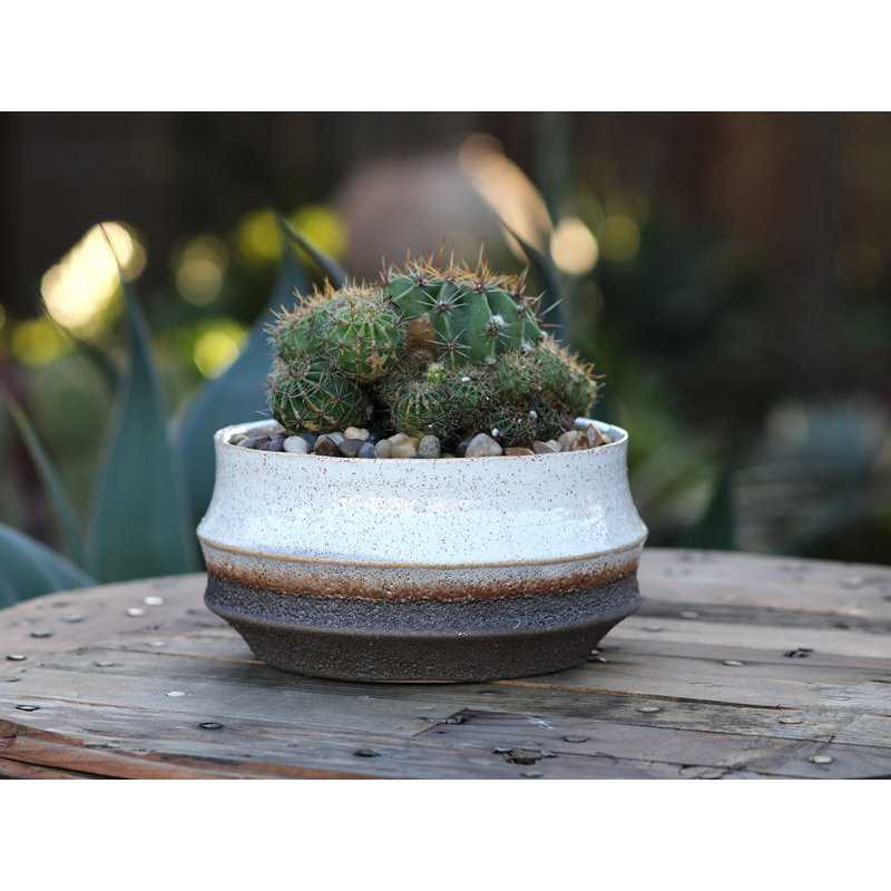 Pots de fleurs en céramique émaillée Santa Barbara Bowls (lot de 4) - Intérieur/Extérieur, Rustic Gold