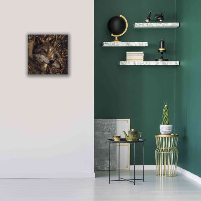 'Colors of Autumn' by Collin Bogle, Canvas Wall Art