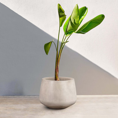 Medium Round Lightweight Concrete Indoor Or Outdoor Planter