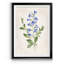 «Botanical II», reproduction d'art sur papier encadré-2014720318-2014720319