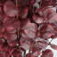 Pack of 6 Artificial Eucalyptus Foliage-127420403-127420404
