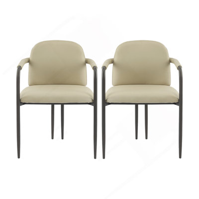 Dinning Chair With Iron Frame-Set Of 2-Espresso+Khaki