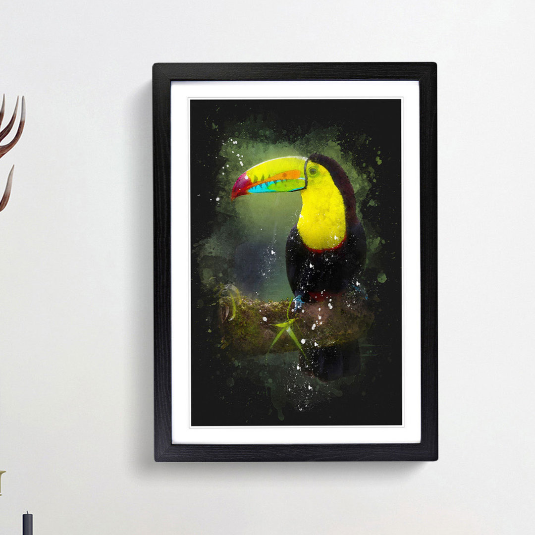 Resting Toucan - Picture Frame Graphic Art Print