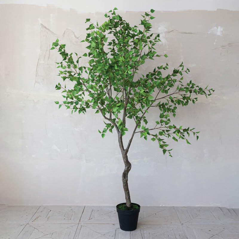 Faux Birch Tree In Plastic Pot