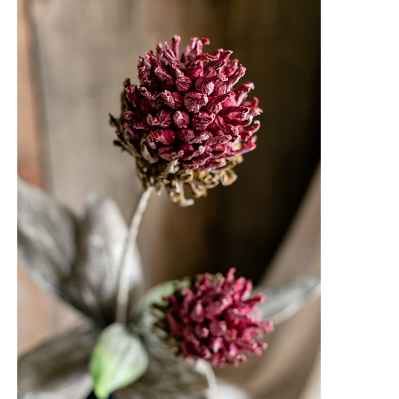 Thistle Arrangement, 3 Stems