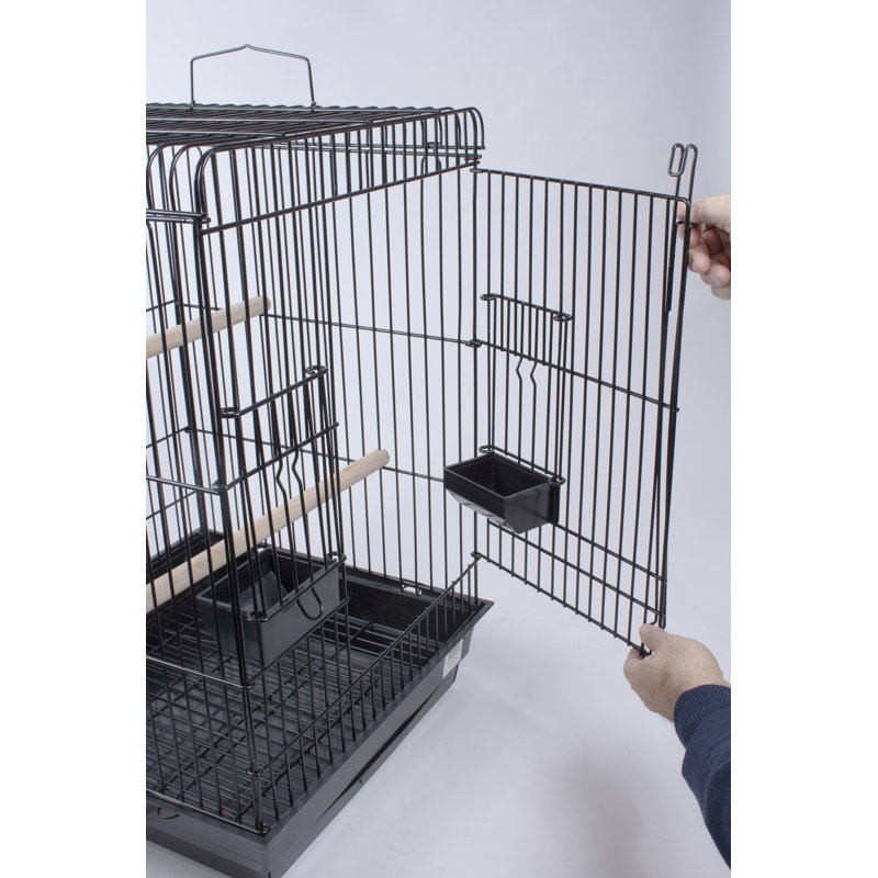 Large Top Starter Bird Kit