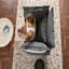 Fauteuil d'appoint simple en chenille de style moderne avec méridienne et canapé-lit pour salon, chambre à coucher