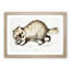 Racoon-Faced Dog by John Edward Gray - Picture Frame Painting Print-55765408-55765415